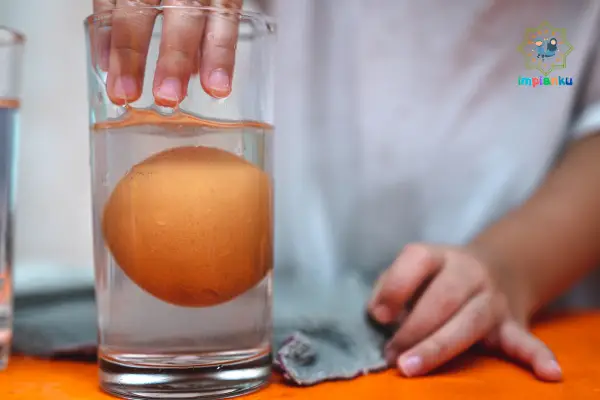 Impianku Quranic Daycare Malang – Day Care Islami